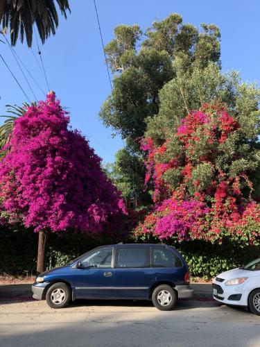 Moving in Los Angeles